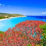 Solki