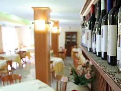 Hotel Solki