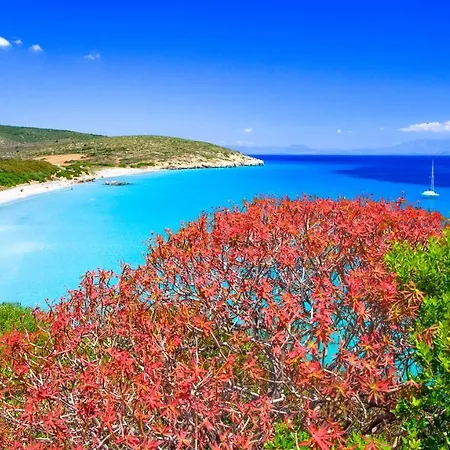 Solki